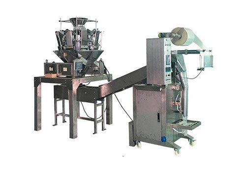 Packaging Machine (Intermittent Motion) VFM200GEL