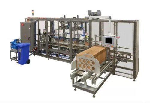 Automatic Case Packer Machine