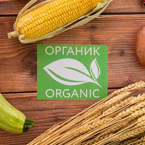 В России утвержден план реализации стратегии развития производства органической продукции
