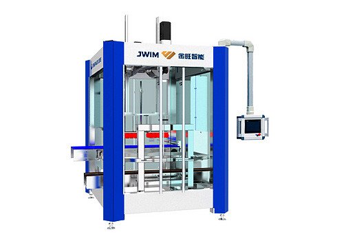 KZ-2D Automatic Box Filling Machine
