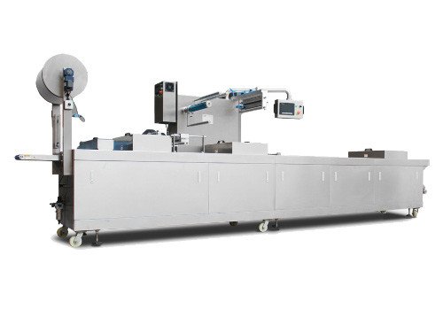 Vacuum Dried Fish Packaging Machine 