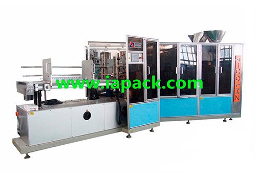 ZH100-A carton filling machine