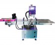 Bottle Capping Machine