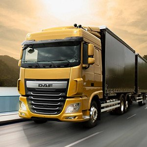 Первая партия сырья для традиционной китайской медицины доставлена из России в Китай