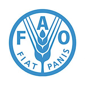 Мировые продовольственные рынки готовятся к долгому периоду неопределенности