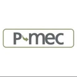 P-MEC Korea 2020