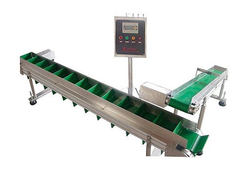 Machine Conveyor Belt