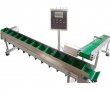 Machine Conveyor Belt