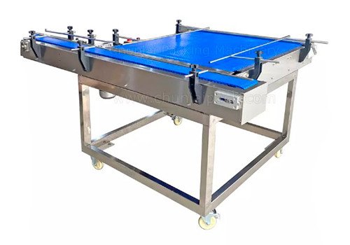 Bottle Feeding Conveyor