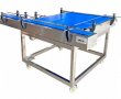 Bottle Feeding Conveyor