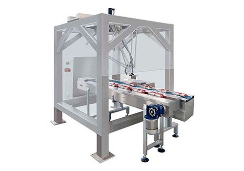 Automatic Robot Packaging Machine