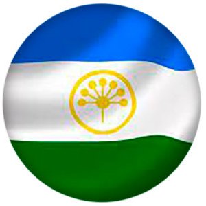 В Башкирии планируется реализовать инвестпроект по производству рибофлавина