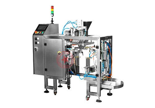 Automatic Mini Premade Doypack Stand up Zipper Pouch Packing Machine YLM-PM2S-GS300D-ZL