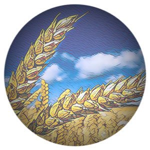 В Правительстве утвердили стратегию развития АПК до 2030 года