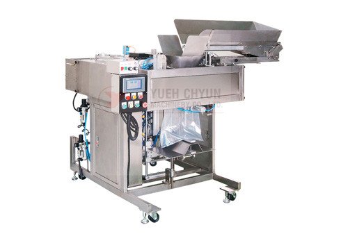 PE Bag Packing Machine CY-305E