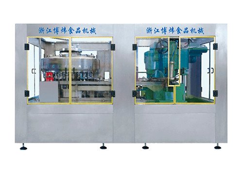 Filling and Sealing Machine BW6T400