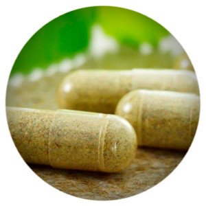 Компания «АлтайБиоТех» в феврале намерена приступить к строительству нового технопарка в Бийске