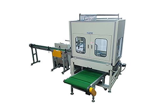 Horizontal Type Auto Packing Machine TC-550 