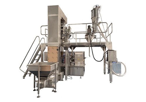 Flat Bottom Pouch Packing Machine