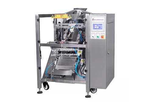 BD-500/620 Inclined Vertical Packaging Machine