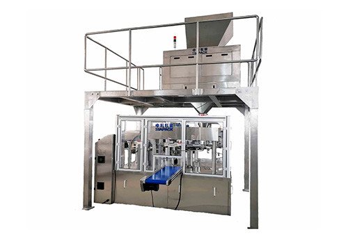 ZG8-150 Pre-made Doy Packer Automatic Filling Packaging Machine