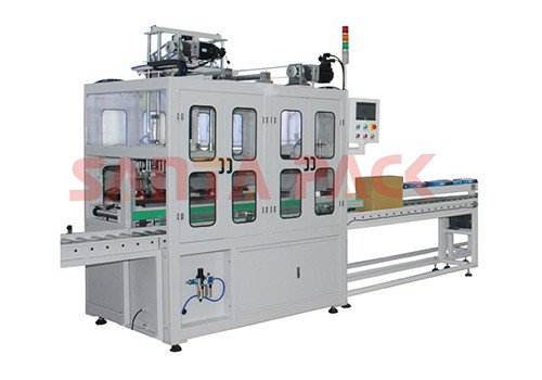 Servo Drive Pick & Place Type Case Packer STP-01S