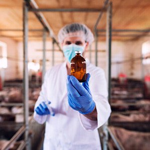 Обязательная маркировка ветпрепаратов в России может быть введена с 1 октября 2024 года