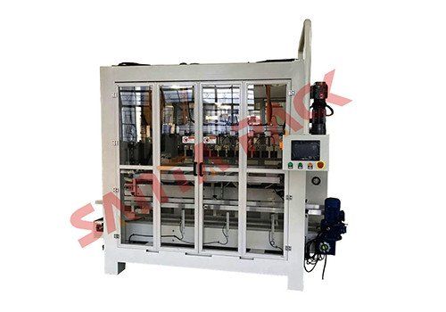 Pick & Place Type Case Packer STP-01Y