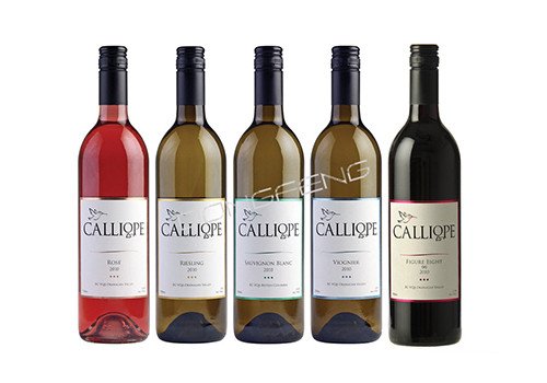 Automatic Wet Glue Labeling WGL-1