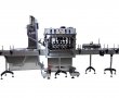 Model TruCap-X-WFall Automatic Inline Bottle Capping Machine