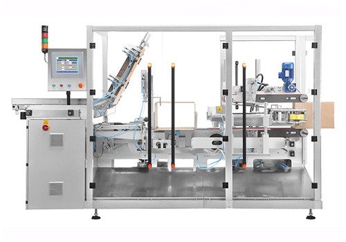 DX270 Case Packing Machine