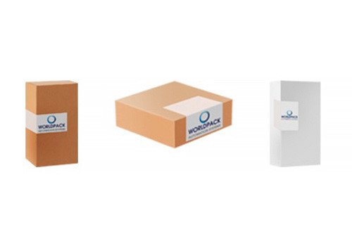 Automatic Tamper Evident Labelling Machine -1