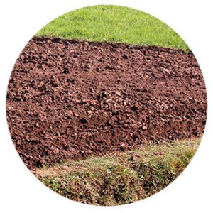 Аграриям не хватает иностранных рабочих рук