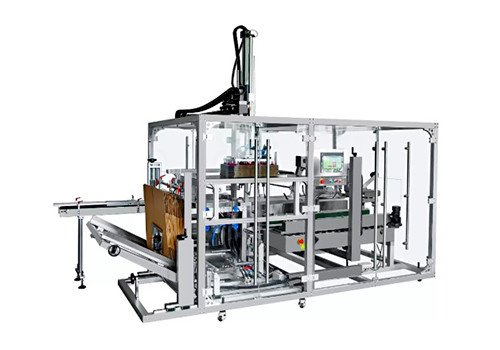 CPP-600 Automatic Case Packing Machine