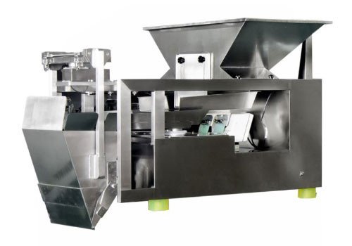 Duplex One Head Linear Weigher WL-DP1H200 