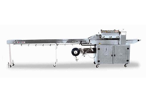 Bottom Wrapped Reverse Horizontal Flow Packing Machine FLM 5000