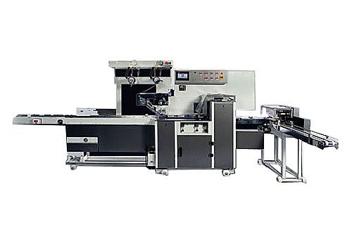 Servo Based Horizontal Flow Wrapping Machine IPAC 2030 