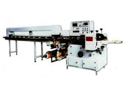 QNF450B/L Stick Noodle Packaging 