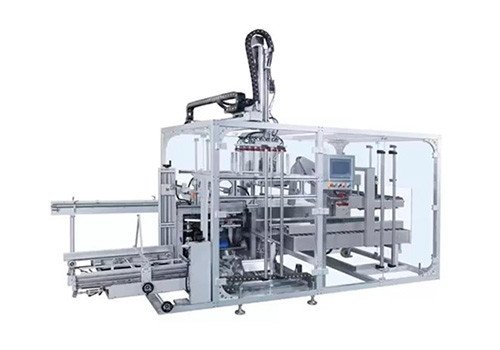 High Speed Automatic Case Packer ZY-600S