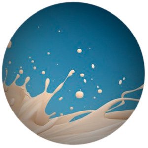 Установлены правила признания средств идентификации Евразийского экономического союза молочной продукции в Российской Федерации 