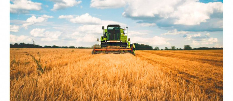 Кубань, Москва и Воронежская область — лидеры по эффективности работы АПК: рейтинг аналитиков