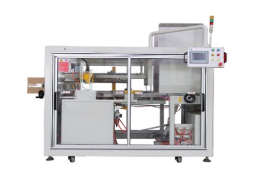 Automatic Case Packing Station SPD 300