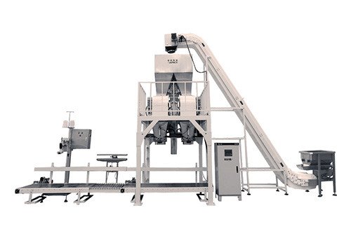 ZL25-KL Double Bucket Belt Conveyor Weighing Machine