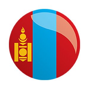 На территории Монголии планируется локализовать производство российских фармпрепаратов