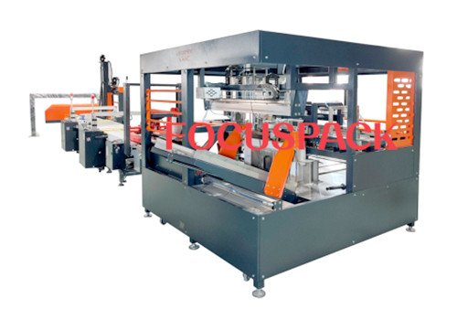 Multi-function Carton Packing System