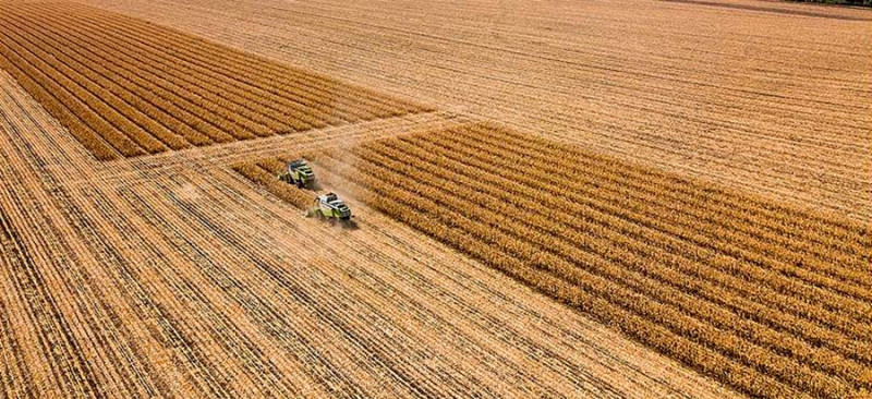 Российский агропром в 2021 году ожидает процветание: мнение МСХ РФ