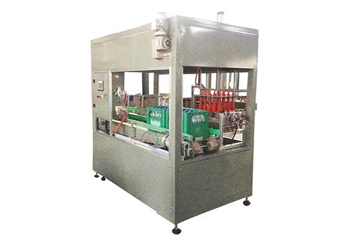 ROY-5P/10P Grab Type Carton Packing Machine