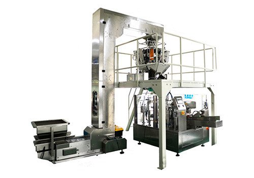 ZL8-200/ZL8-230/ZL8-300 Automatic Snacks Food Packing Machine