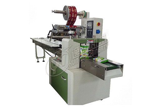 Pillow Type Packing Machine 