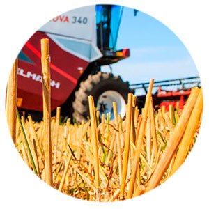 Регионы довели до аграриев более 70% федеральных субсидий